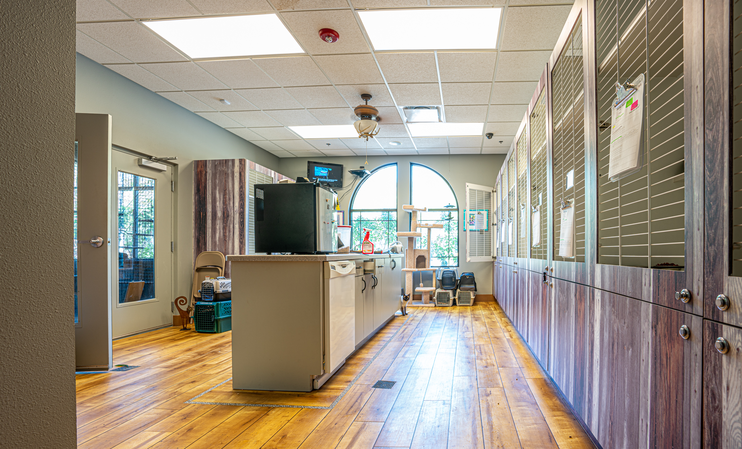 The Lodge at New Tampa Cat Condo and Kennels