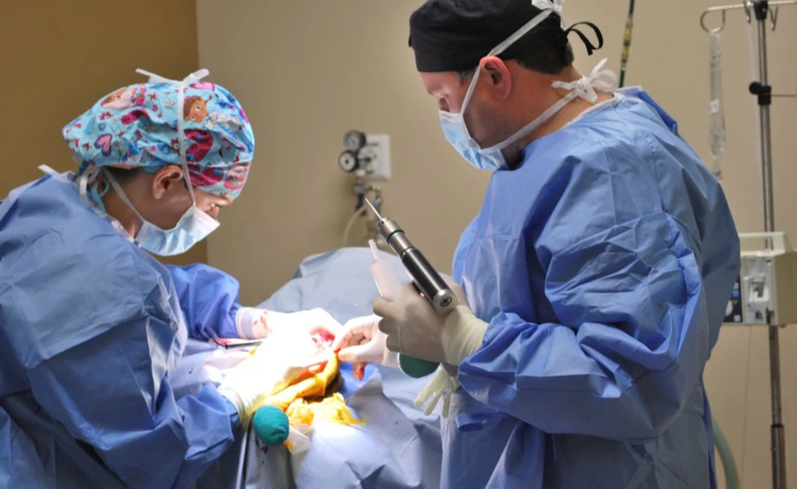 2 veterinary staff members performing surgery on dog 2 veterinary staff members performing surgery on dog