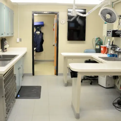 Oak Knoll Animal Hospital operating room with exam tables and sink area