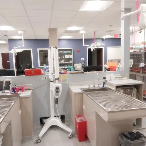 Surgical area 2 Surgical area 2