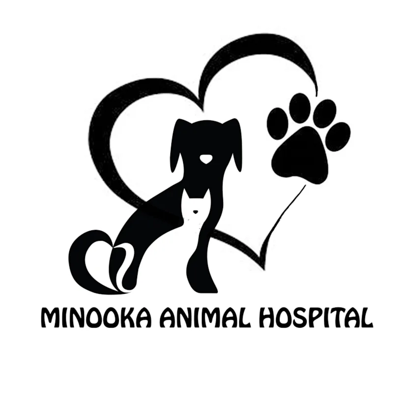 Dr. Grabowski Dr. Grabowski