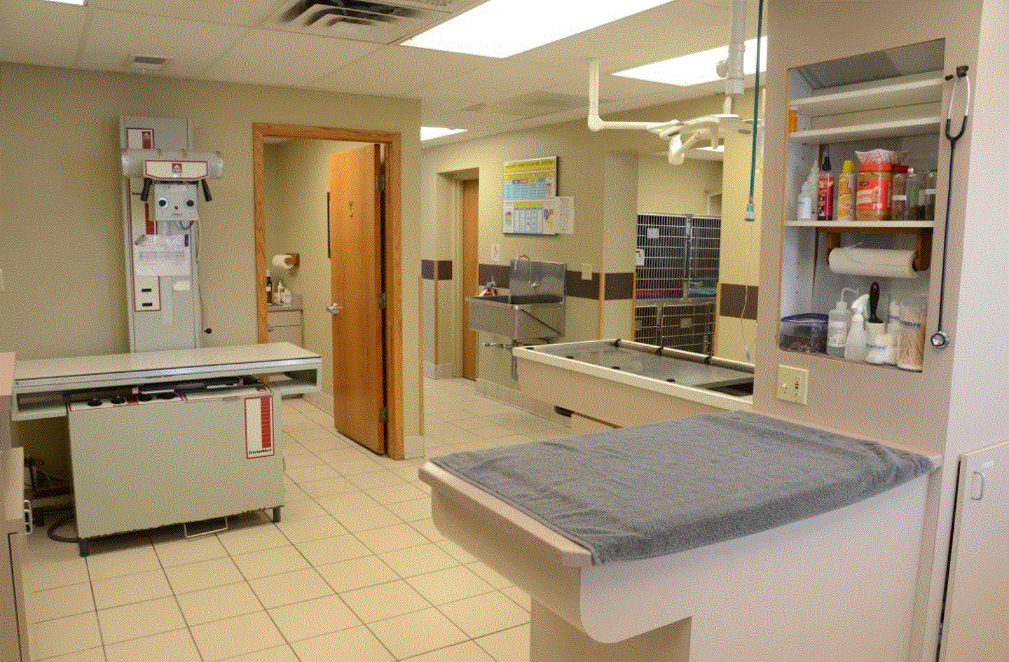 Peotone Animal Hospital Surgery Room Area which consists of three exam tables and medical equipments to check your pet