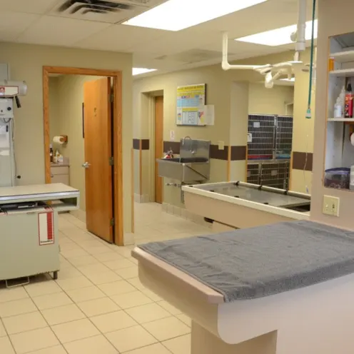 Peotone Animal Hospital Surgery Room Area which consists of three exam tables and medical equipments to check your pet