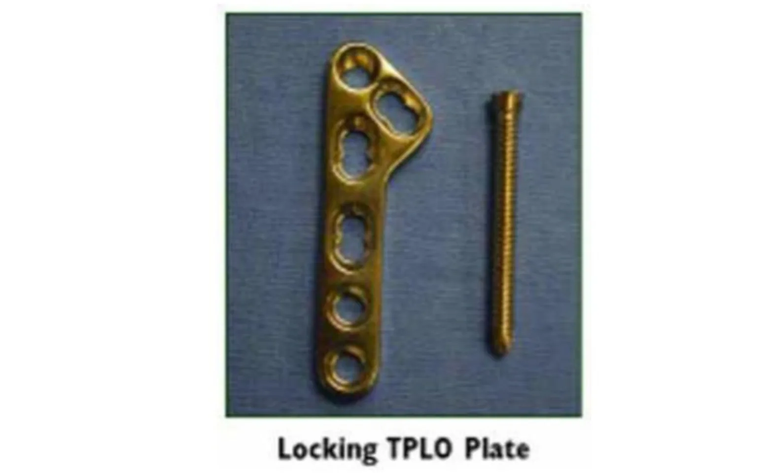 Locking TPLO Plate Locking TPLO Plate
