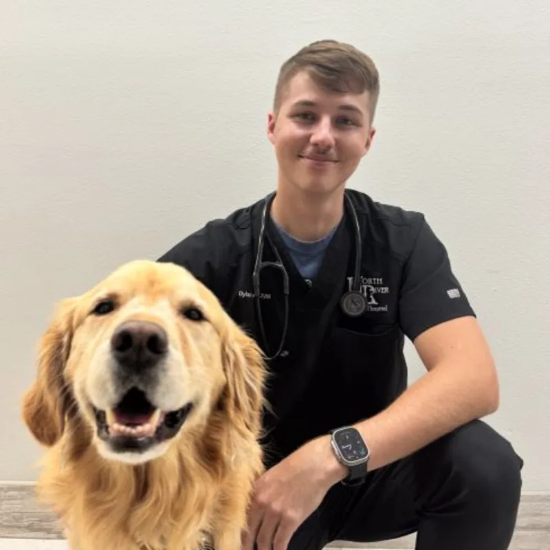 Dr. Nusche Dr. Nusche