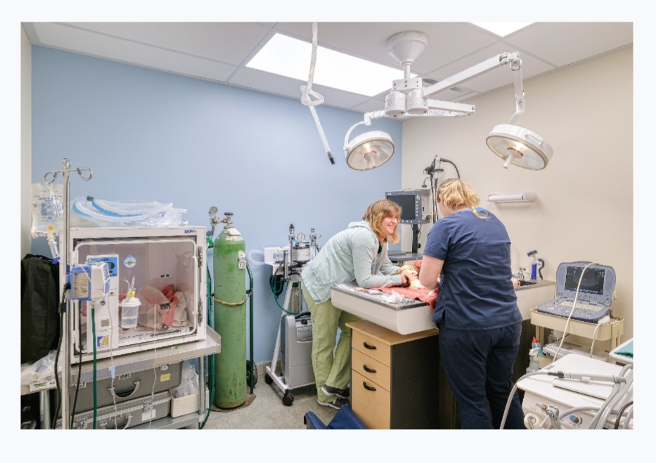 Pet Samaritan Clinic 