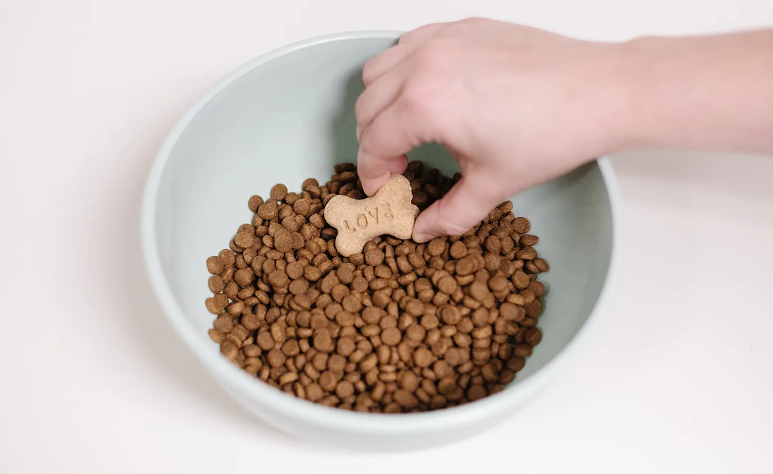 Photo of pet food caressed by human hand Photo of pet food caressed by human hand