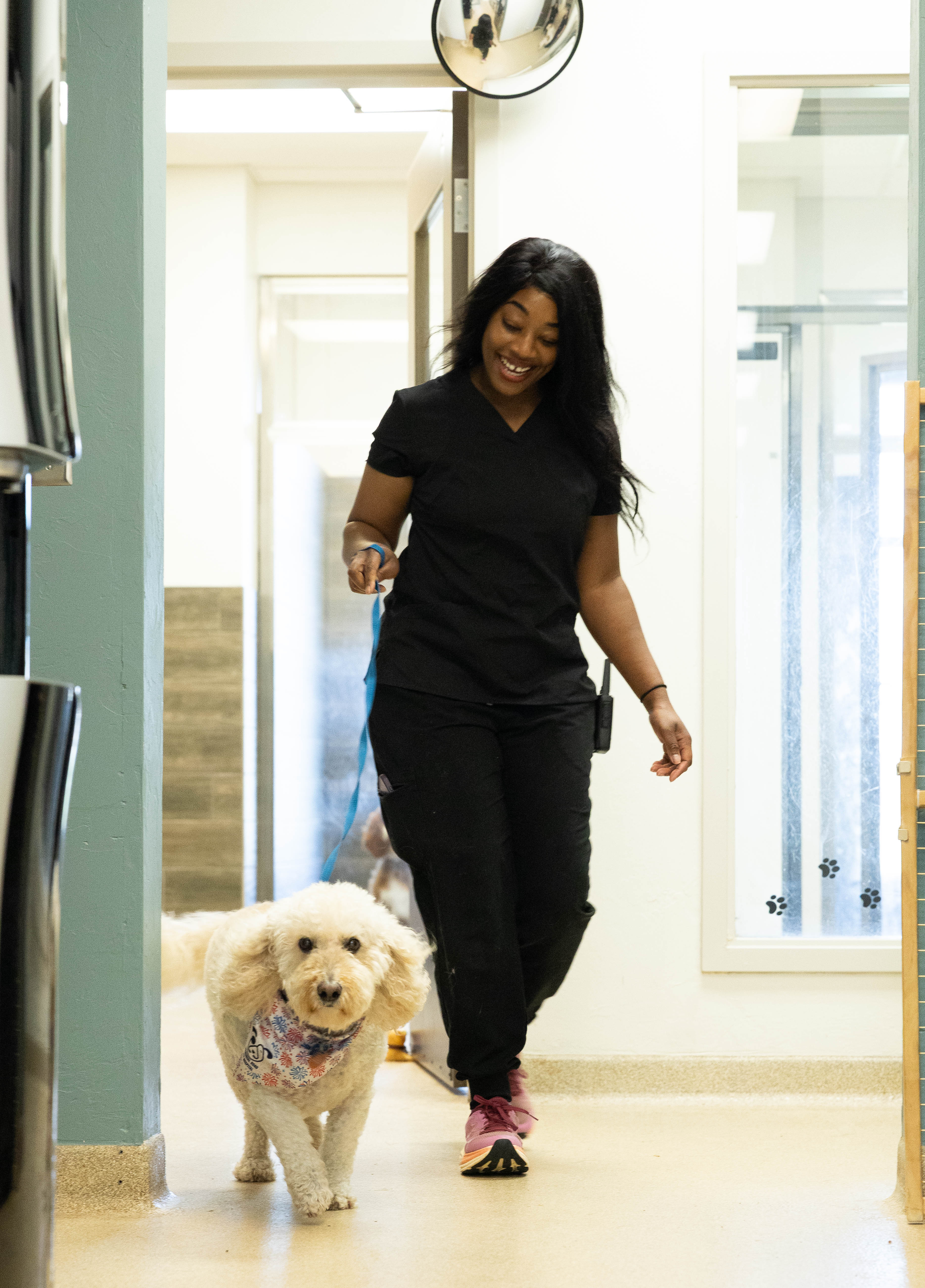 Staff Member and Dog Walking Together