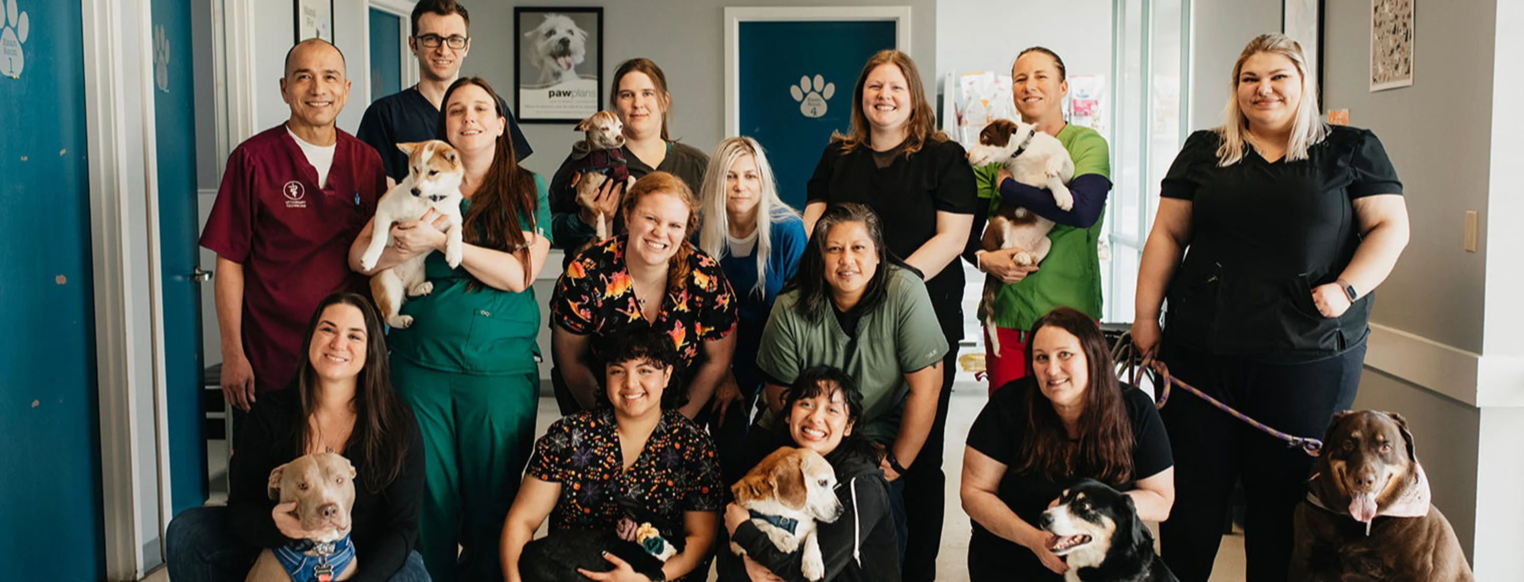 Group photo of the Renton Highlands Pet Clinic staff and their pets Group photo of the Renton Highlands Pet Clinic staff and their pets