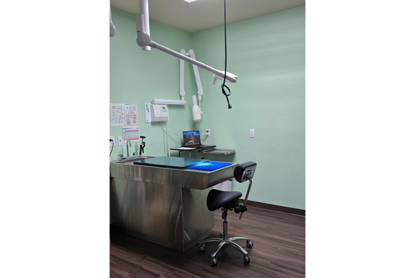 Our Dental Suite