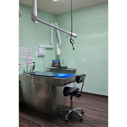 Our Dental Suite Our Dental Suite