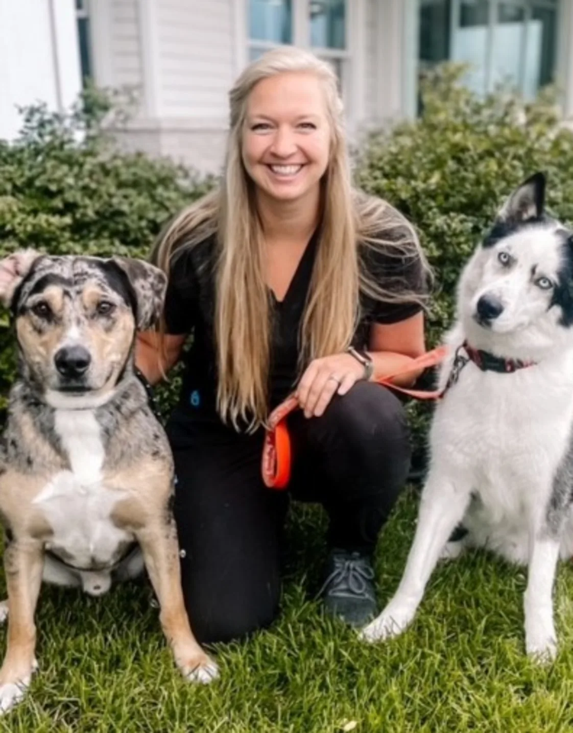 Ally Ingles, Vet Tech at West Salem Veterinary Clinic Ally Ingles, Vet Tech at West Salem Veterinary Clinic