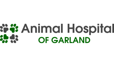 Animal Hospital of Garland-HeaderLogo