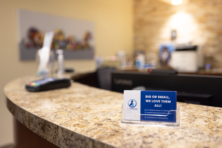 Front Desk with Business Card