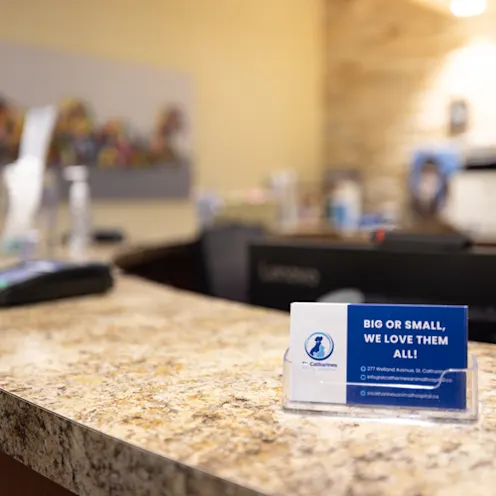 Front Desk with Business Card Front Desk with Business Card