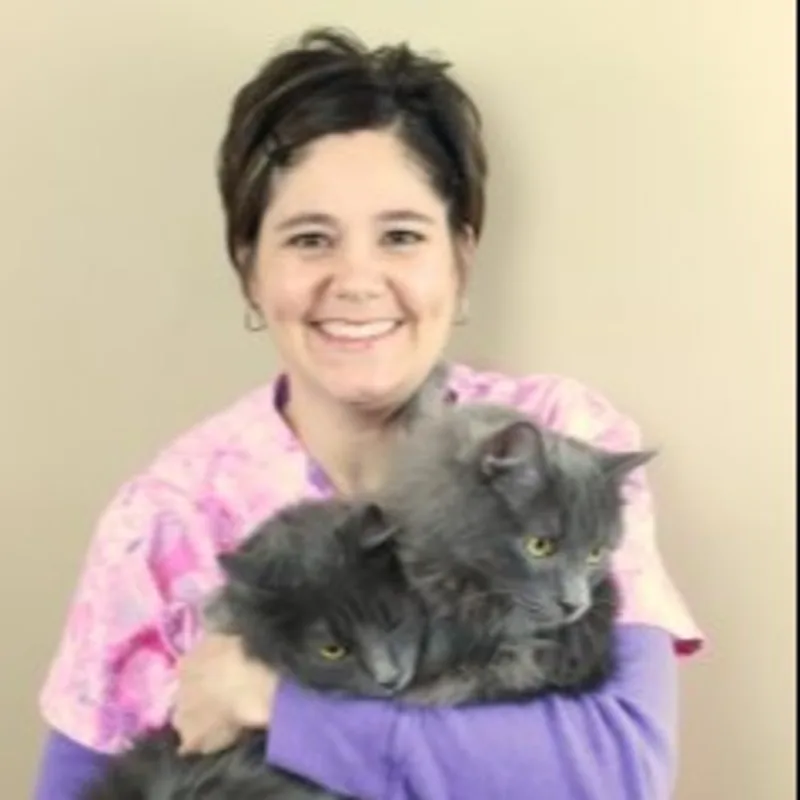 Meredith Meyer (Ohlin) Meredith Meyer (Ohlin)