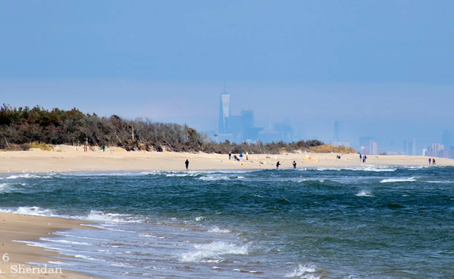 Sandy Hook Sandy Hook