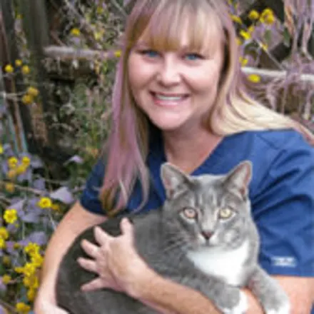 Dr. Holcombe holding a gray cat