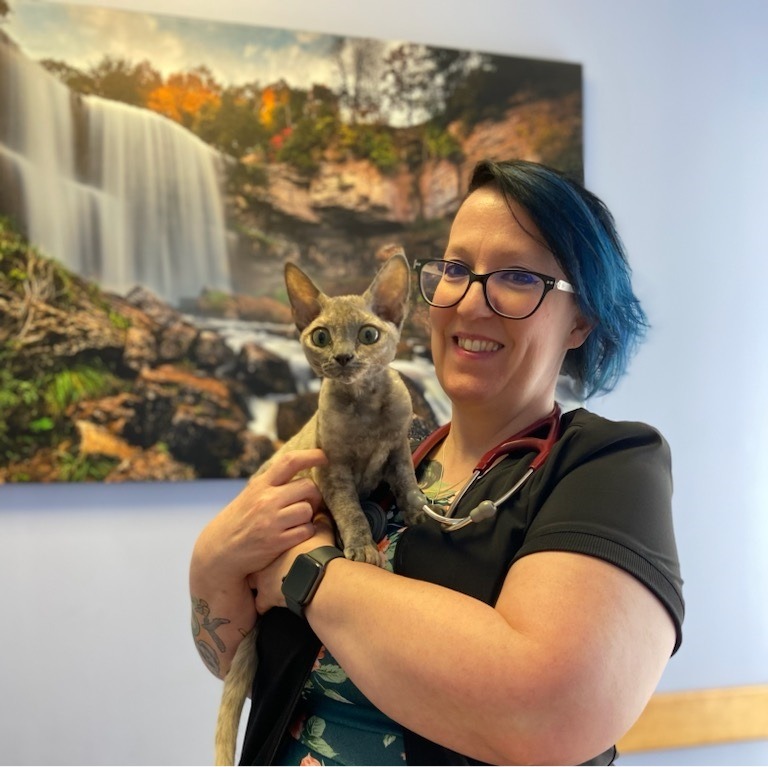 Dr. Tina Hall DVM, DABVP (FELINE PRACTICE) The Cat Clinic