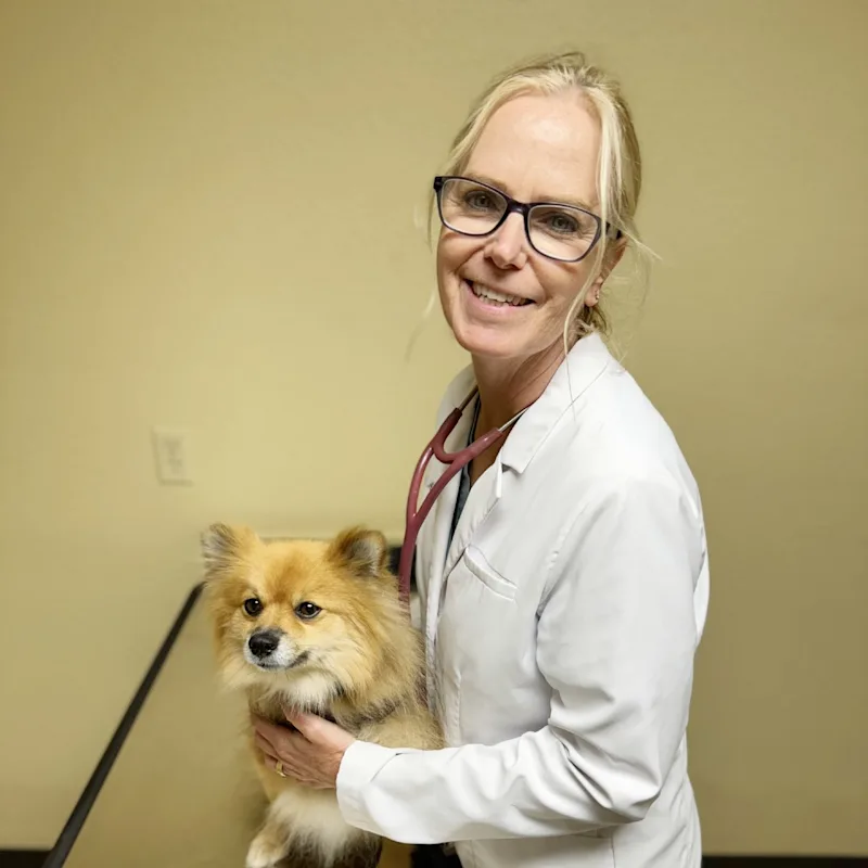 Dr. Tammy Mendez Dr. Tammy Mendez