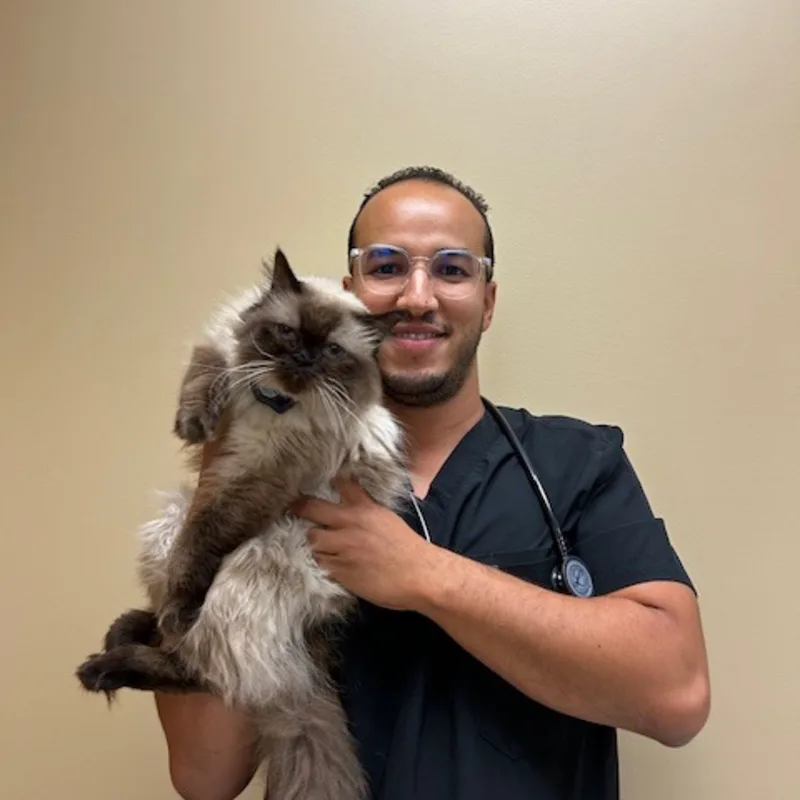 Dr. Mehdi Zah Dr. Mehdi Zah