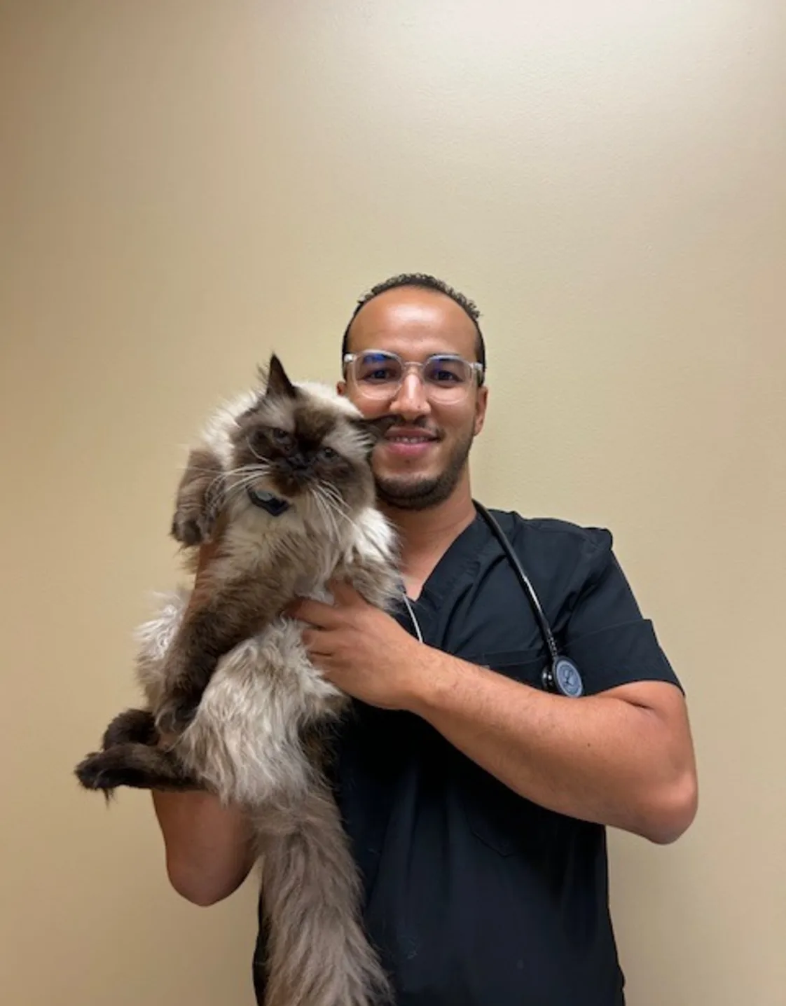 Dr. Mehdi Zah Dr. Mehdi Zah