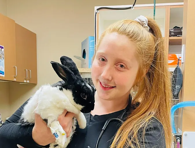 Staff member holding rabbit. Staff member holding rabbit.