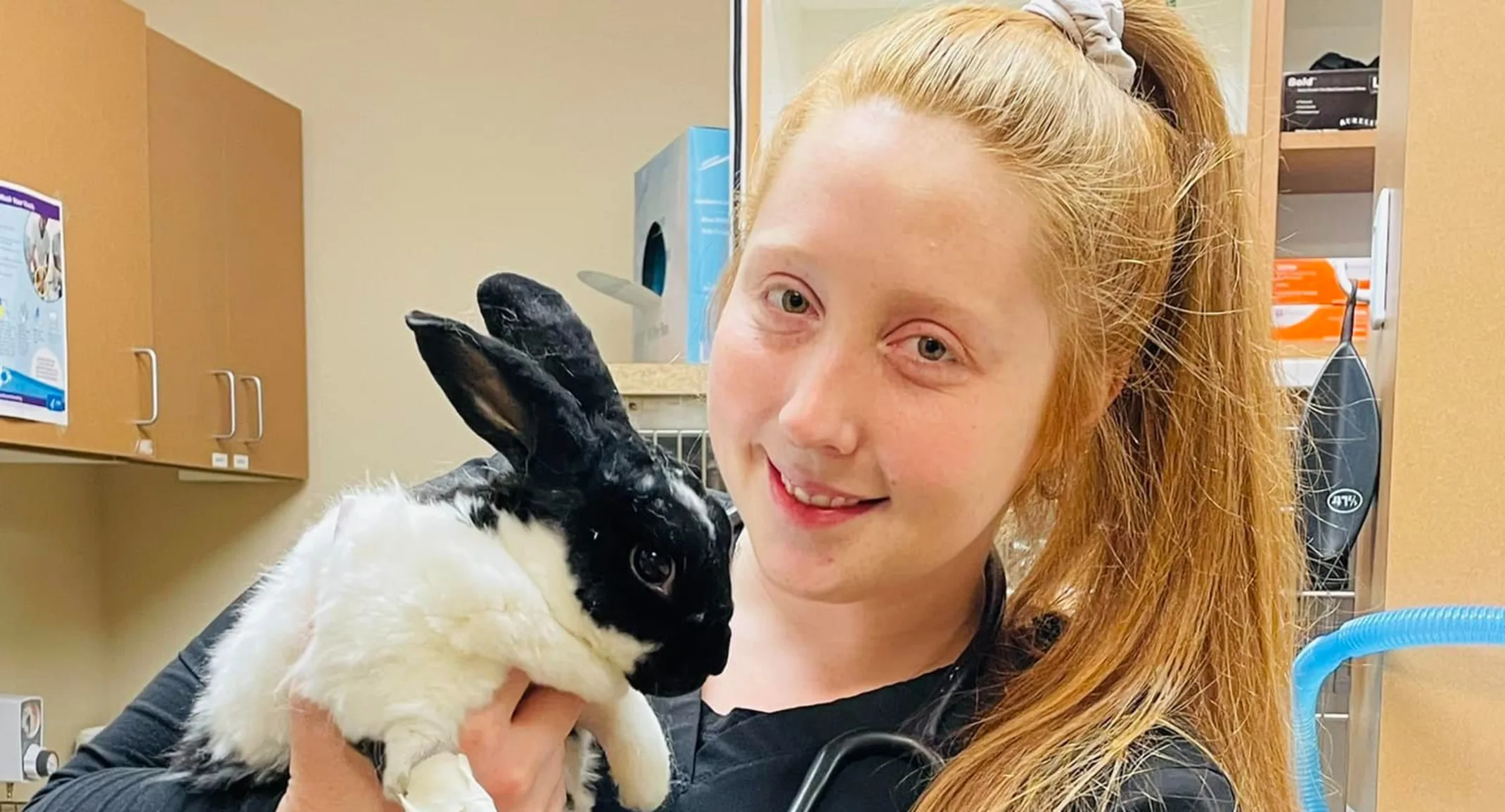 Staff member holding rabbit. Staff member holding rabbit.