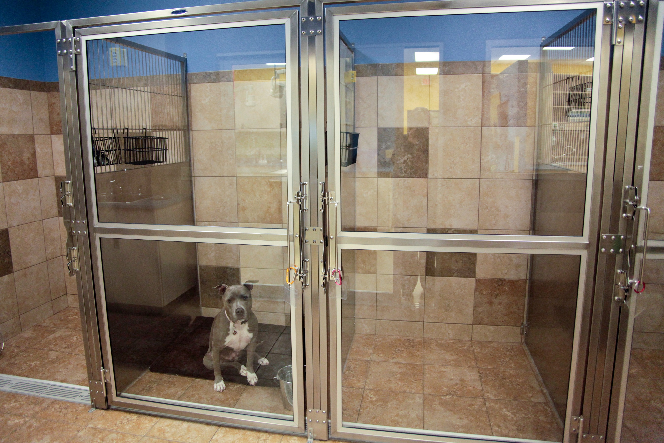 Advanced Animal Care of Colorado Boarding