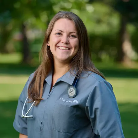 Dr. Ashley Russo at Pruyn Veterinary Hospital
