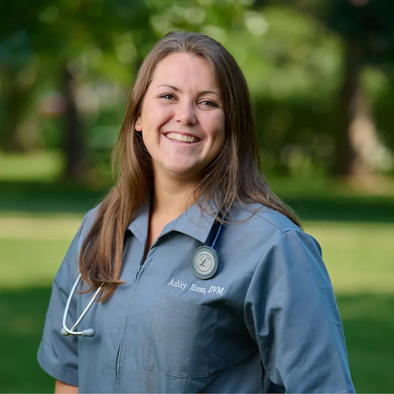 Dr. Ashley Russo at Pruyn Veterinary Hospital Dr. Ashley Russo at Pruyn Veterinary Hospital