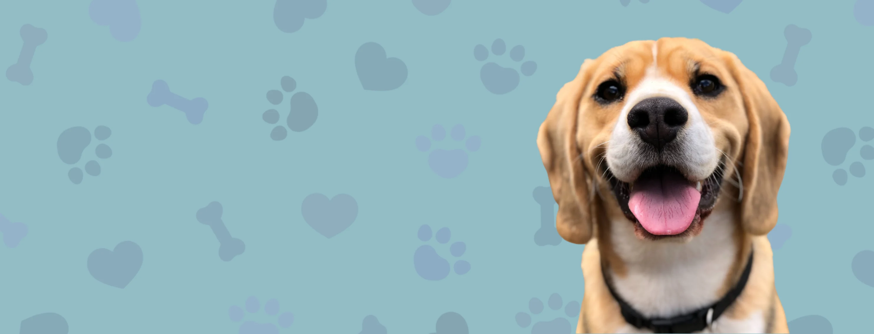 The HEART Fund The HEART Fund