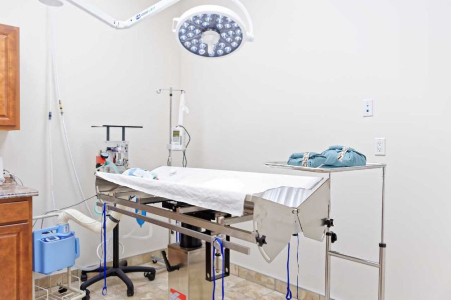 Operating Bed/Room at Sherwood Veterinary Clinic