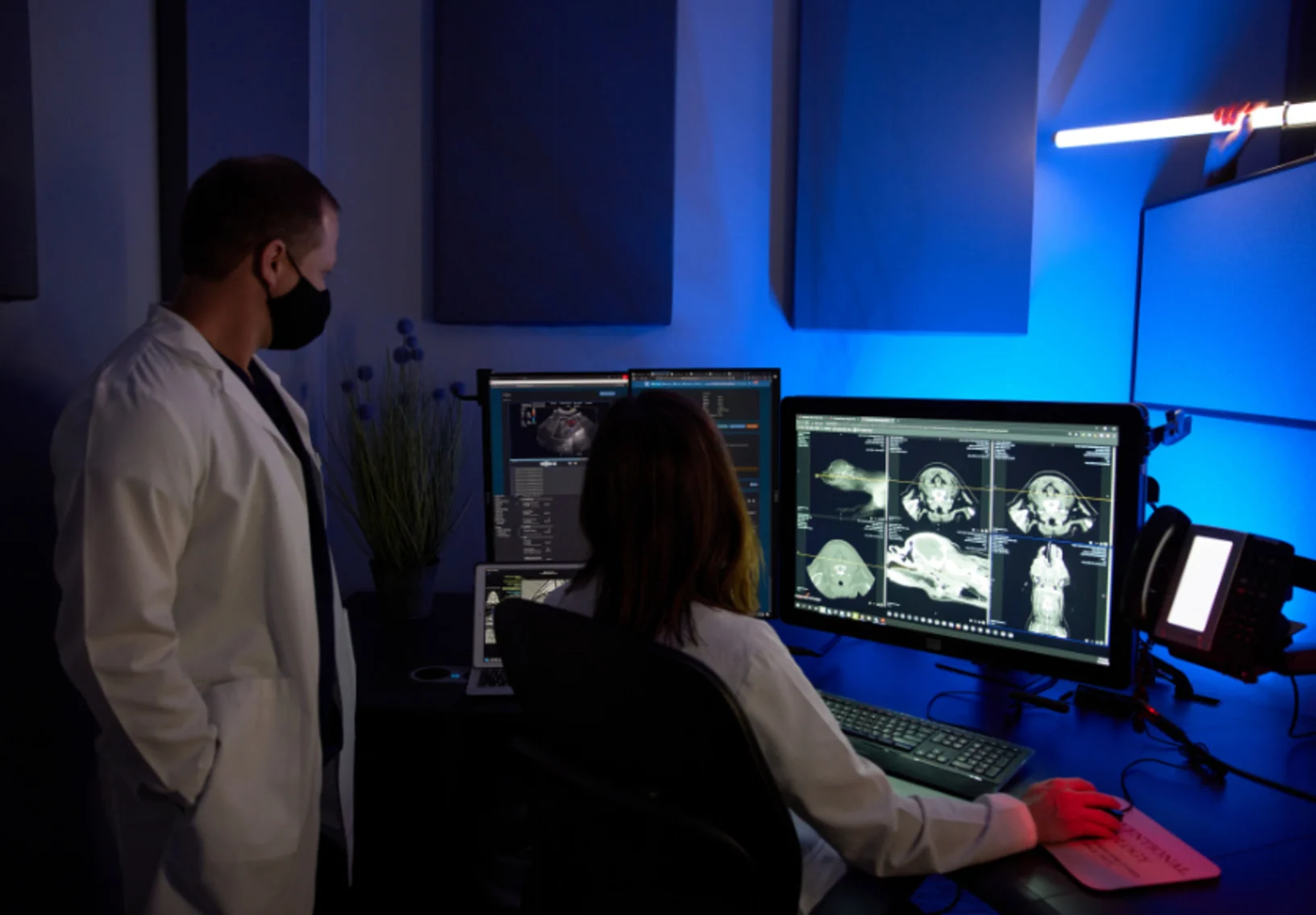Vets examining x-ray images displayed on computer monitor Vets examining x-ray images displayed on computer monitor