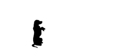 North River Animal Hospital Logo North River Animal Hospital Logo