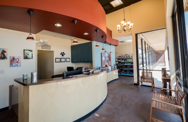 Lobby Area Inside Champion Wood Animal Hospital
