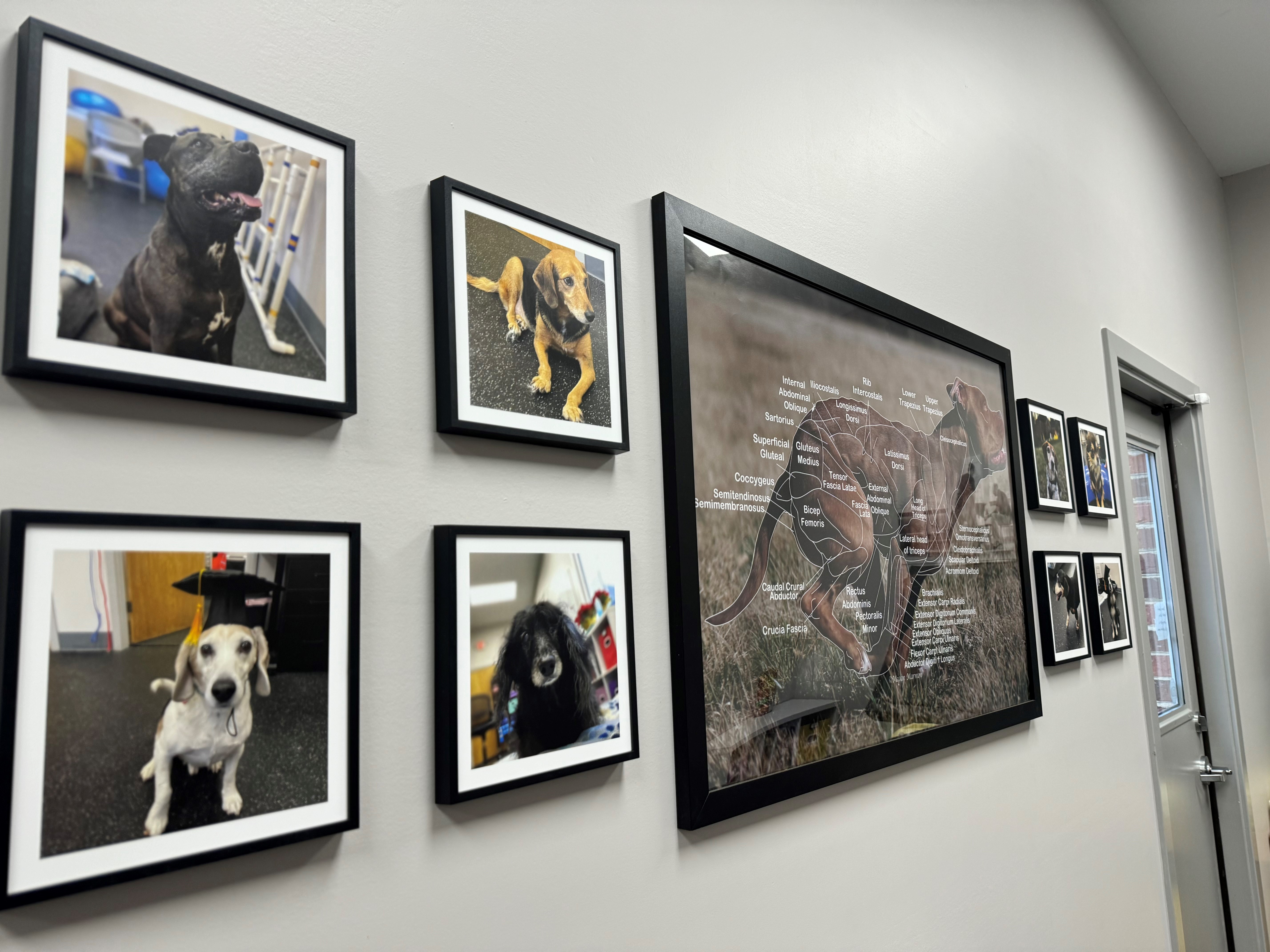 Photo gallery of rehab patients in laser therapy room