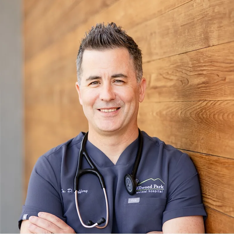 Dr. Dean Jeffery Dr. Dean Jeffery