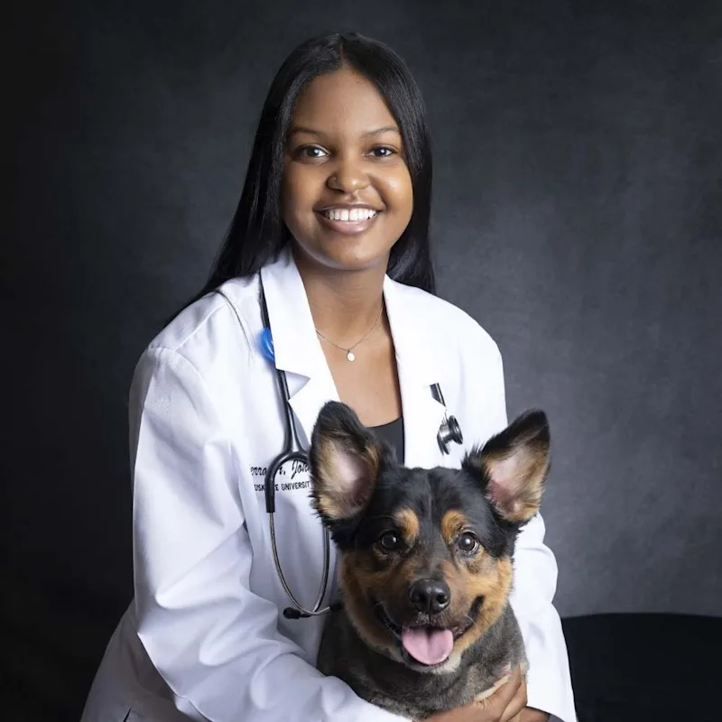 Dr. Kierra Johnson Dr. Kierra Johnson
