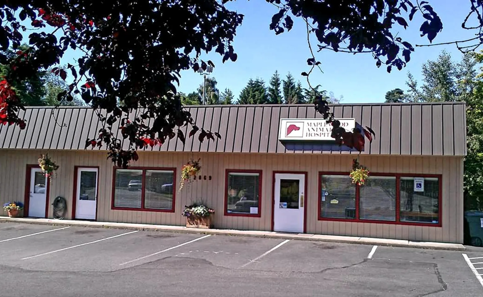 Maplewood Animal Hospital building exterior and parking lot