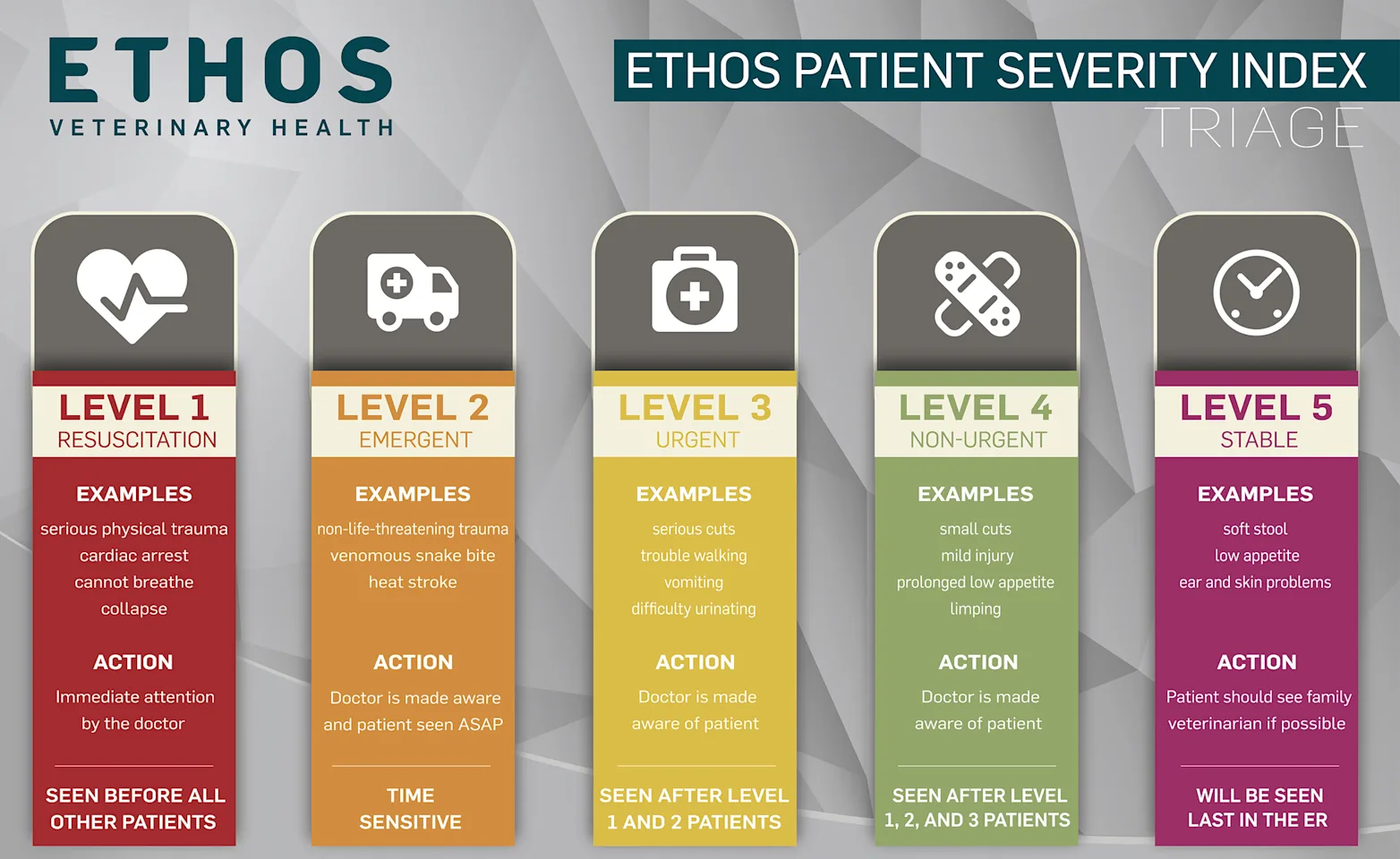 Patient Severity Index Patient Severity Index