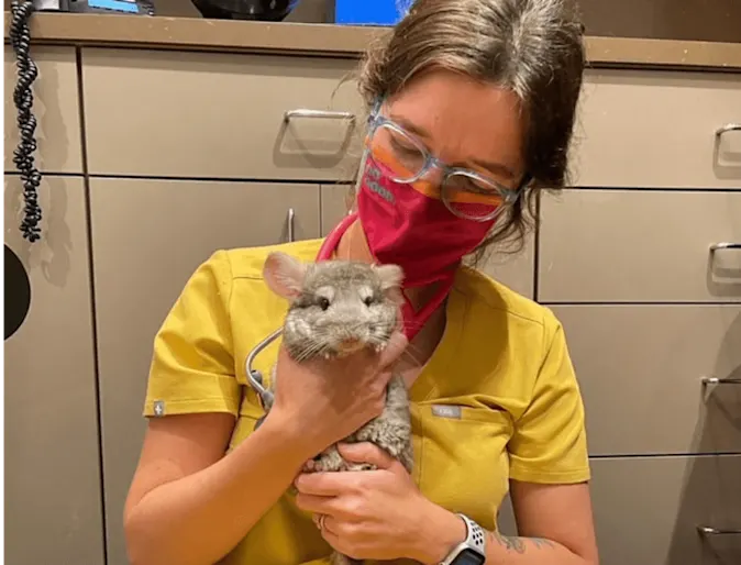 Staff member holding an exotic animal Staff member holding an exotic animal