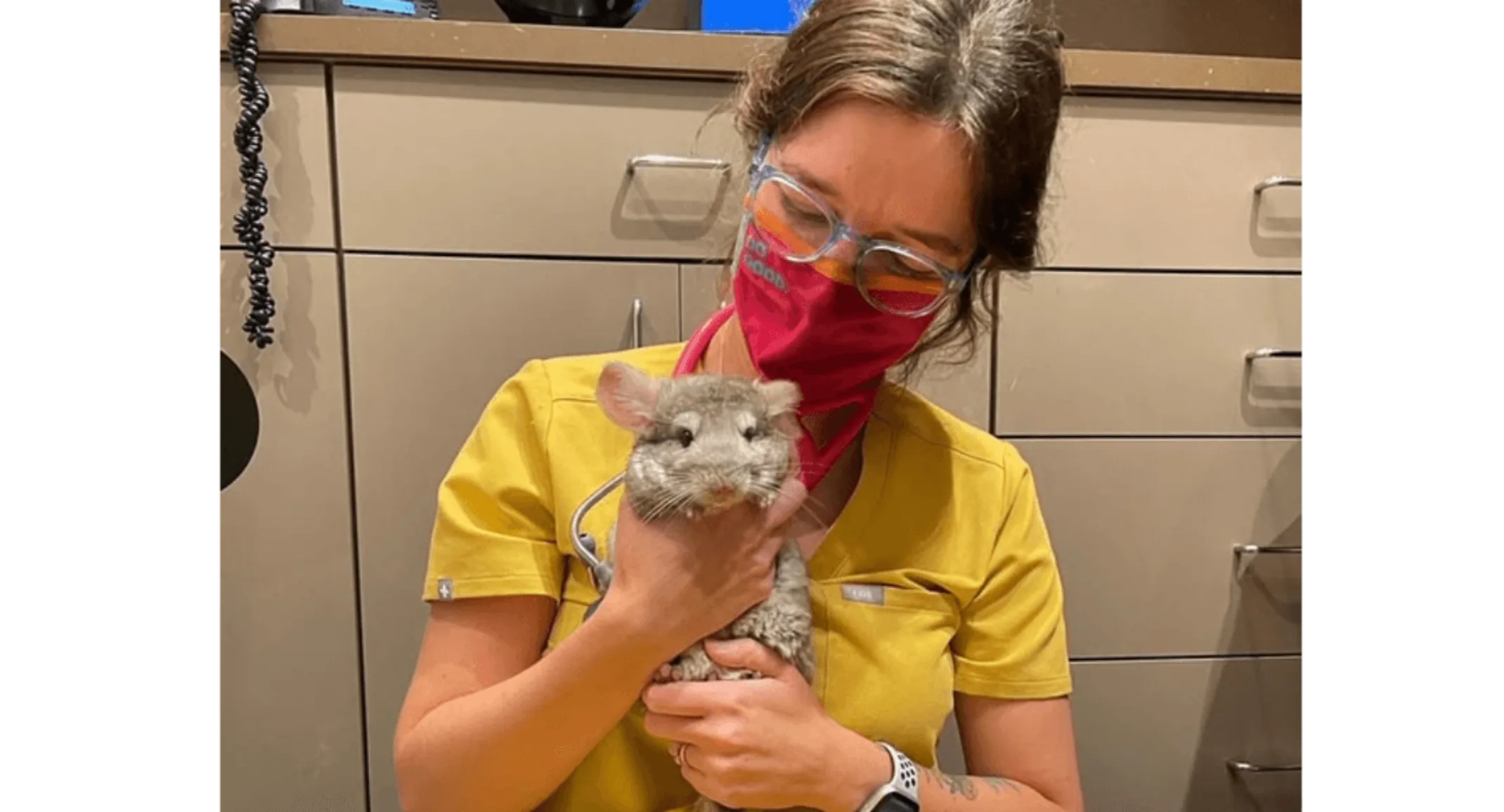 Staff member holding an exotic animal Staff member holding an exotic animal