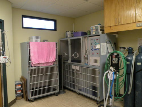 ICU at Southside Animal Hospital