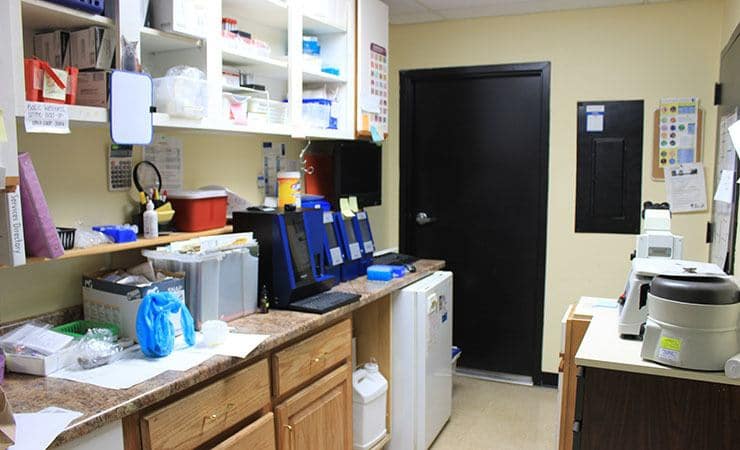 All Creatures (NY) Back Office