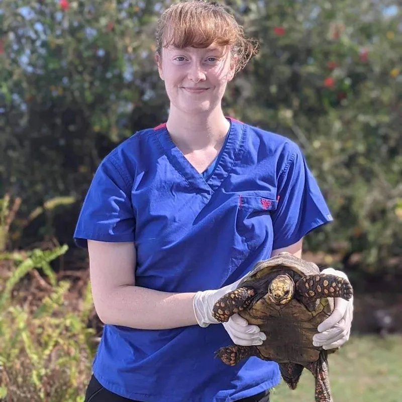 Dr. Shannon Simpson Dr. Shannon Simpson