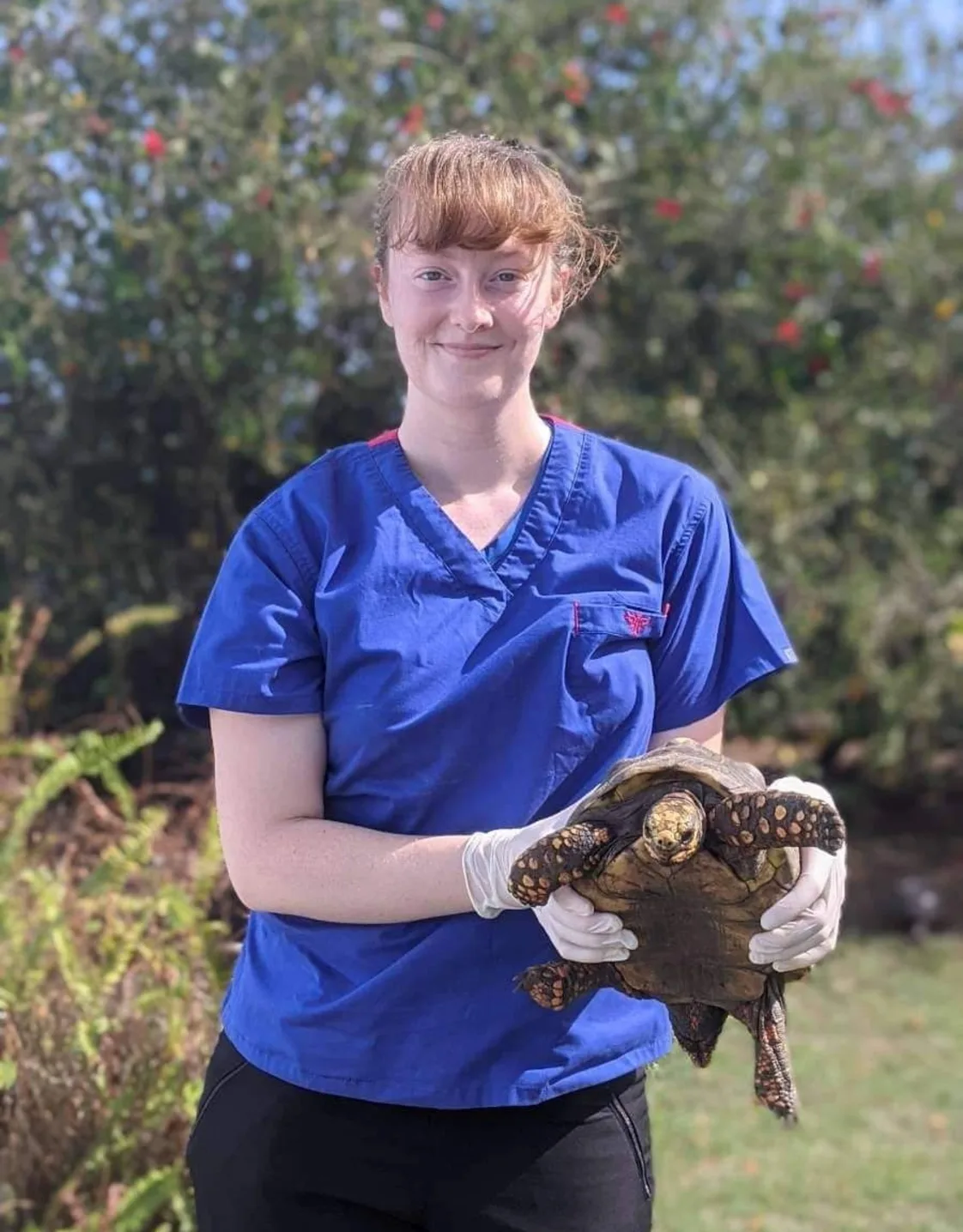 Dr. Shannon Simpson Dr. Shannon Simpson