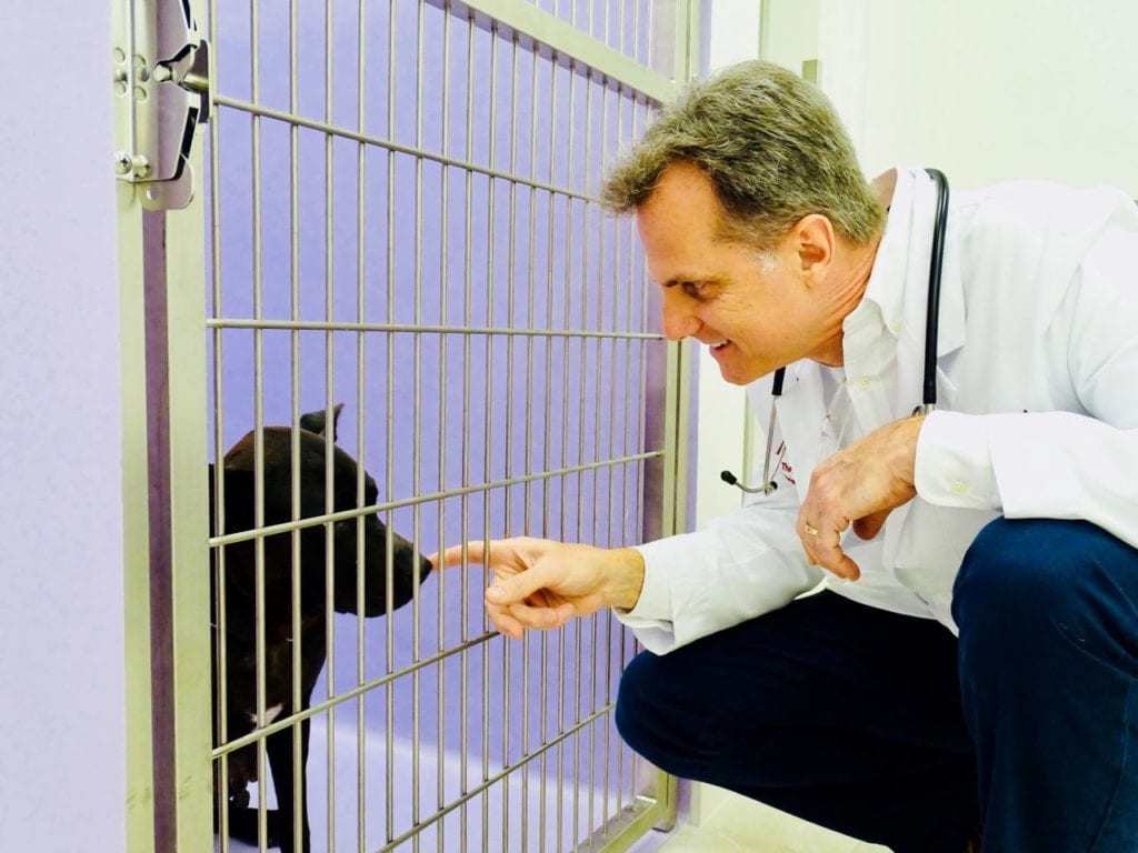 Dr. Randy Eisel with Black Dog at The Animalife Veterinary Center at Eagle Creek