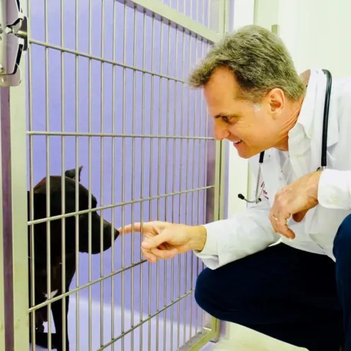 Dr. Randy Eisel with Black Dog at The Animalife Veterinary Center at Eagle Creek