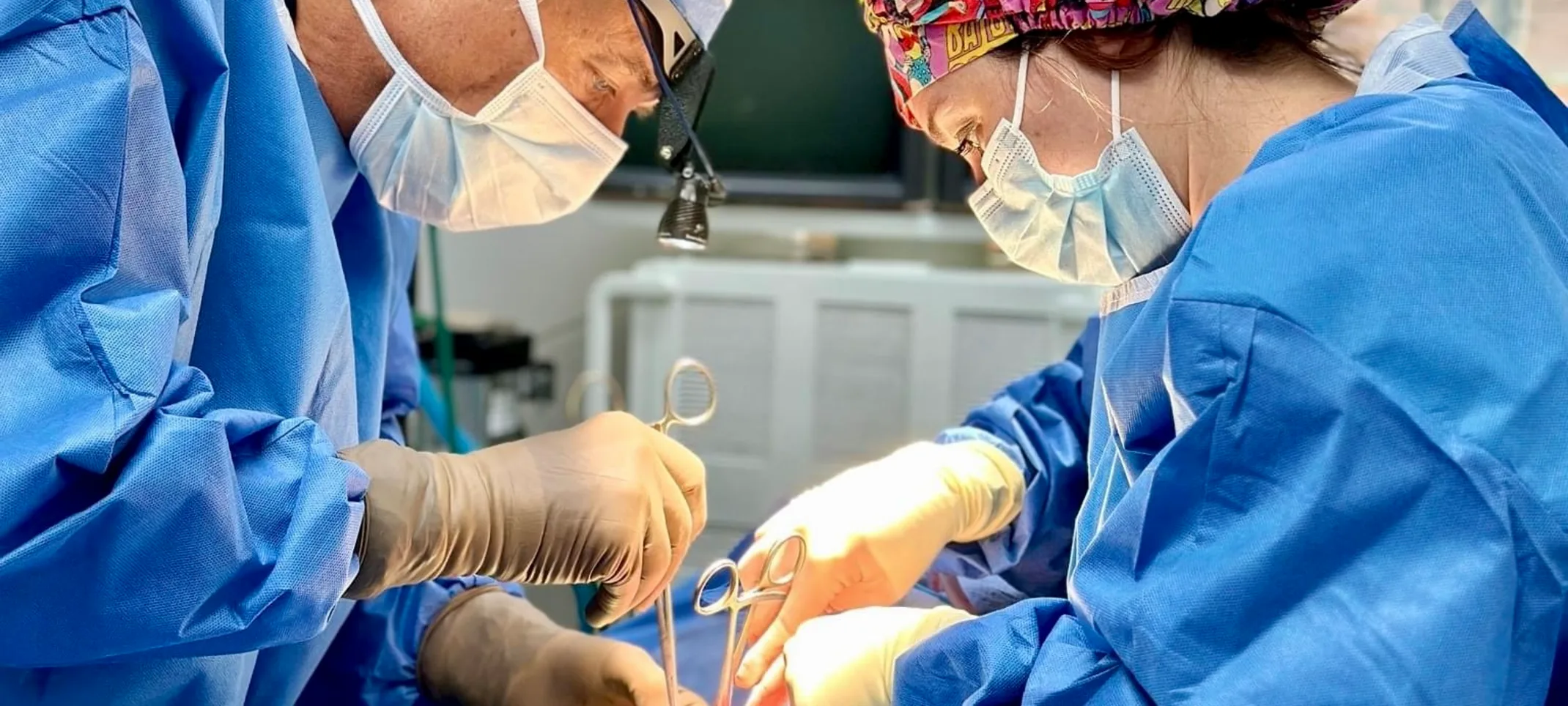 orthopedic surgery orthopedic surgery